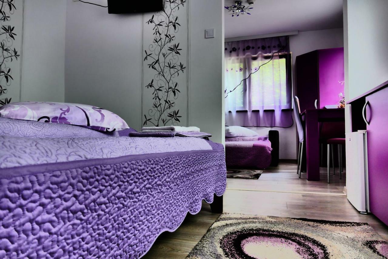 Pensiunea Roua Florilor Hotel Anina Luaran gambar