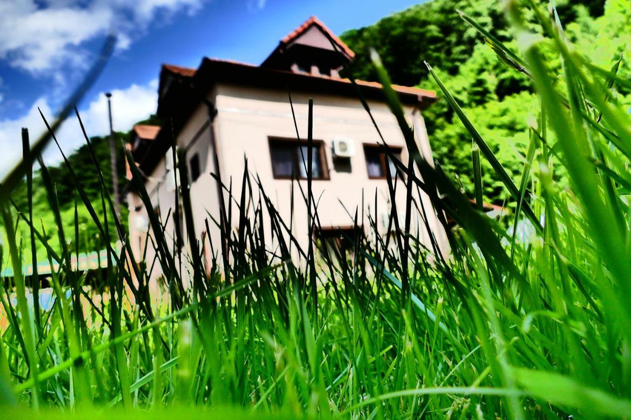 Pensiunea Roua Florilor Hotel Anina Luaran gambar