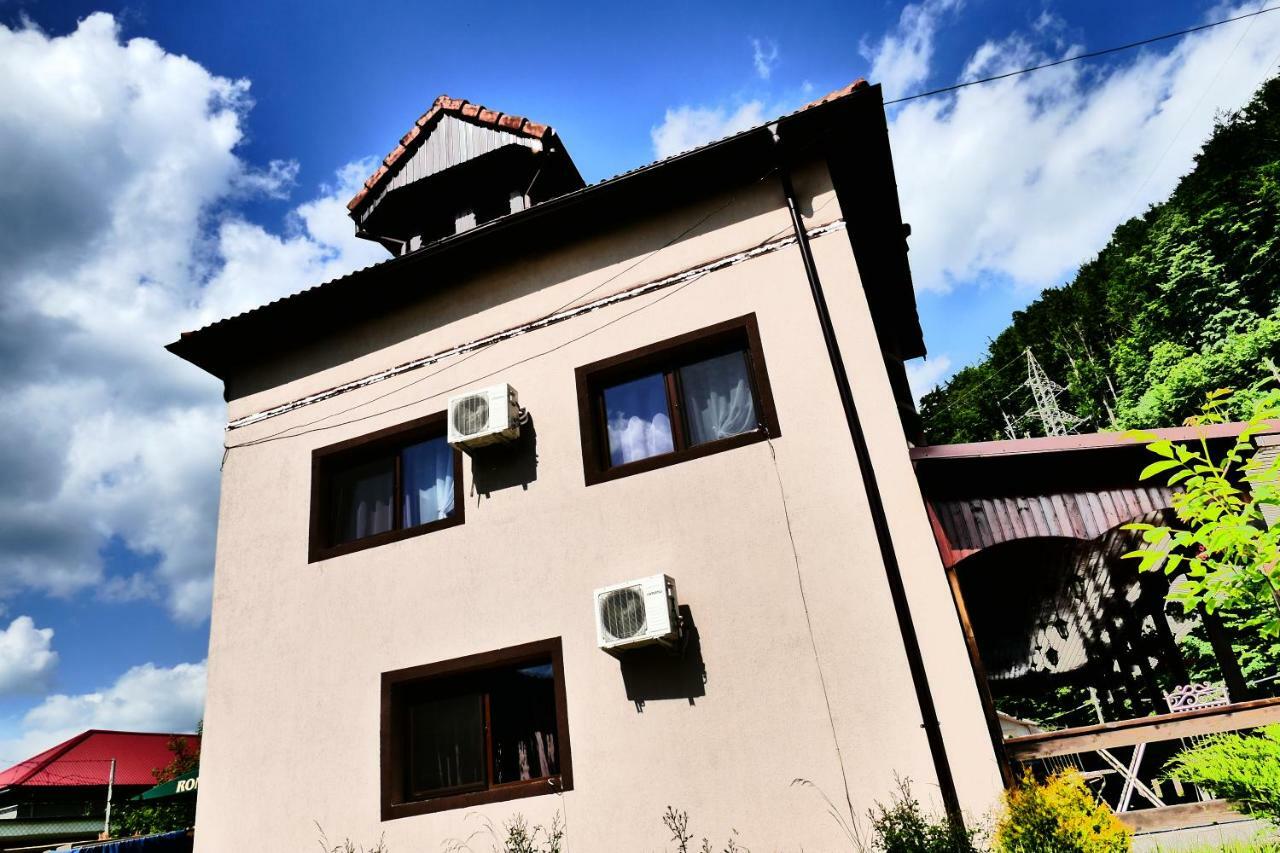 Pensiunea Roua Florilor Hotel Anina Luaran gambar