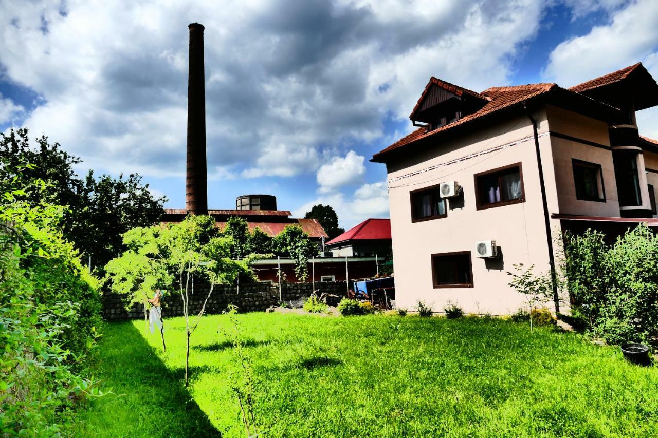 Pensiunea Roua Florilor Hotel Anina Luaran gambar