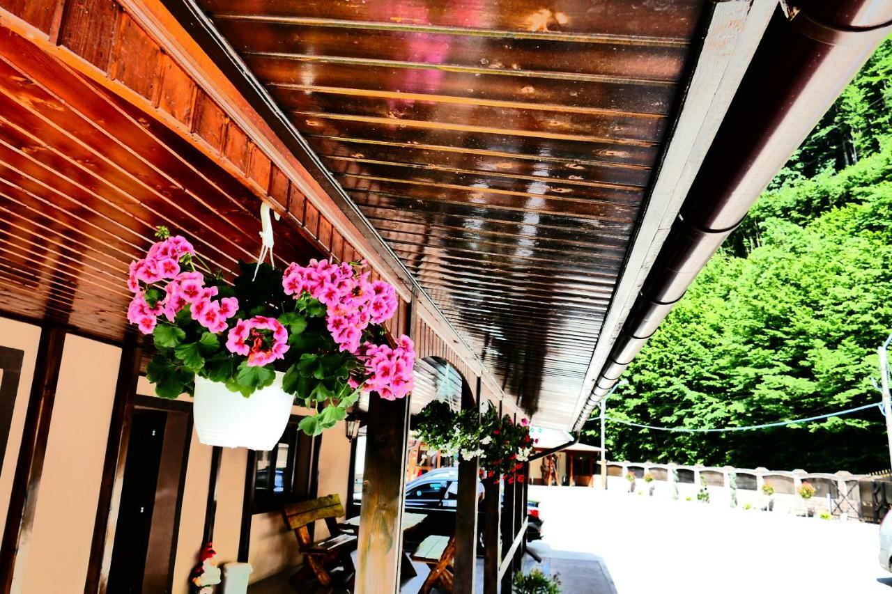 Pensiunea Roua Florilor Hotel Anina Luaran gambar